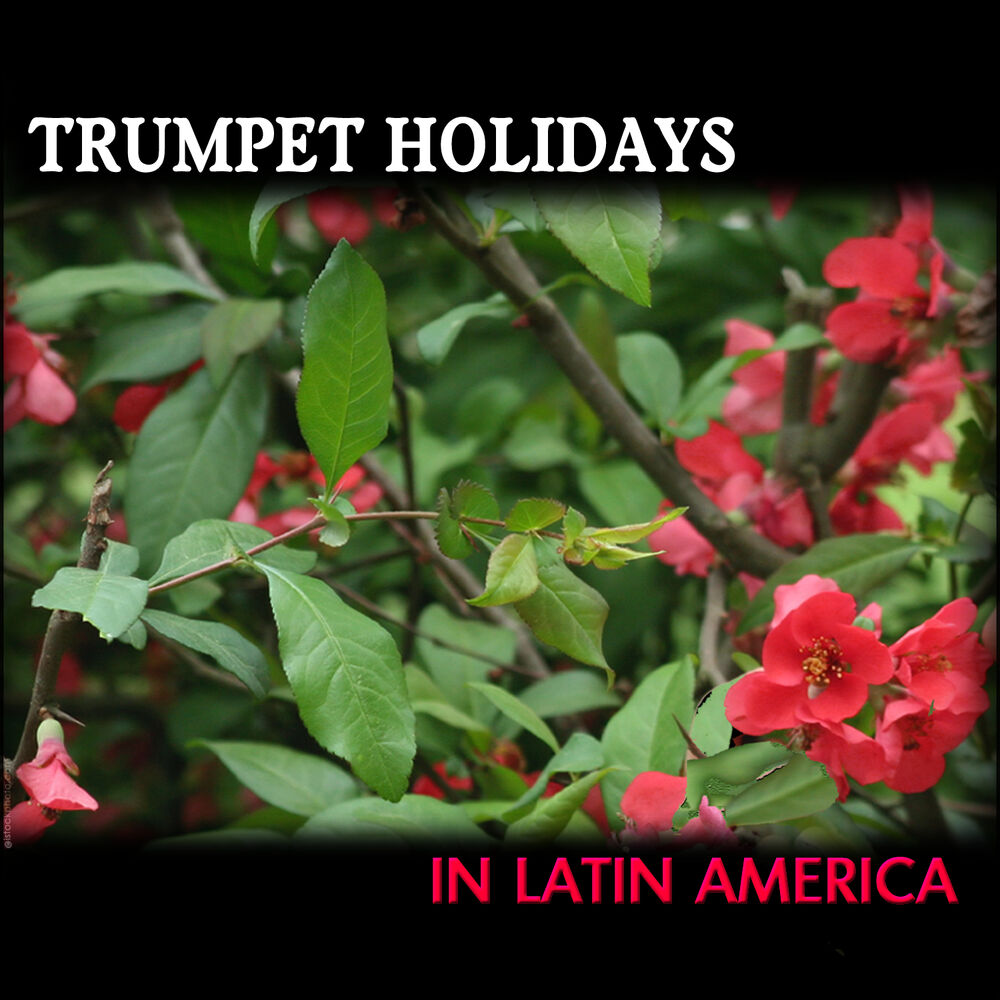 Picture of Trumpet Holidays In Latin America, Trompette Latino