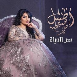 music cover