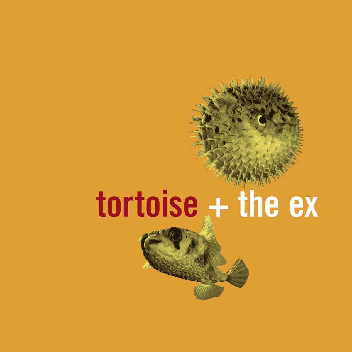 Album cover of In The Fishtank 5