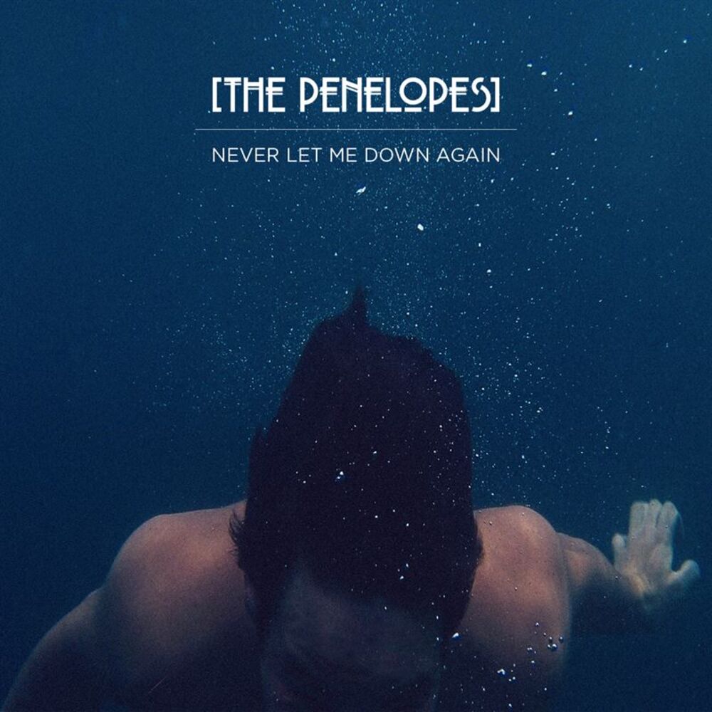 Picture of Never Let Me Down Again