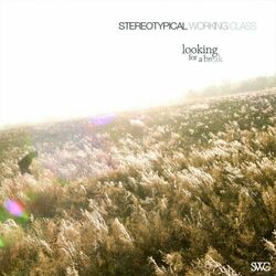 Cover of Looking for a Break