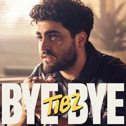 Cover of BYE BYE