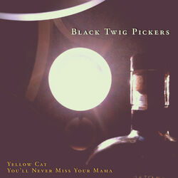 Cover of Yellow Cat