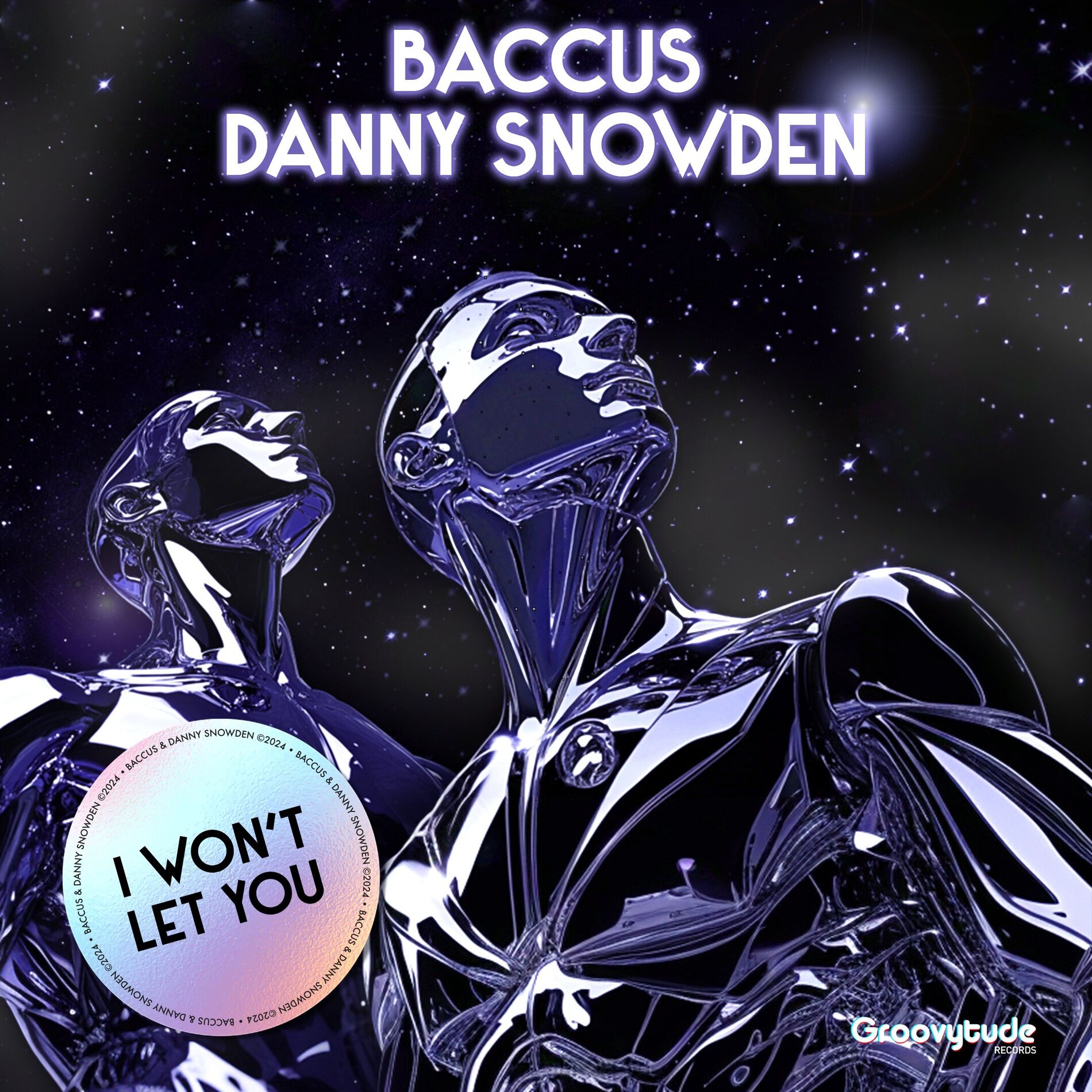 Album cover of I Won't Let You