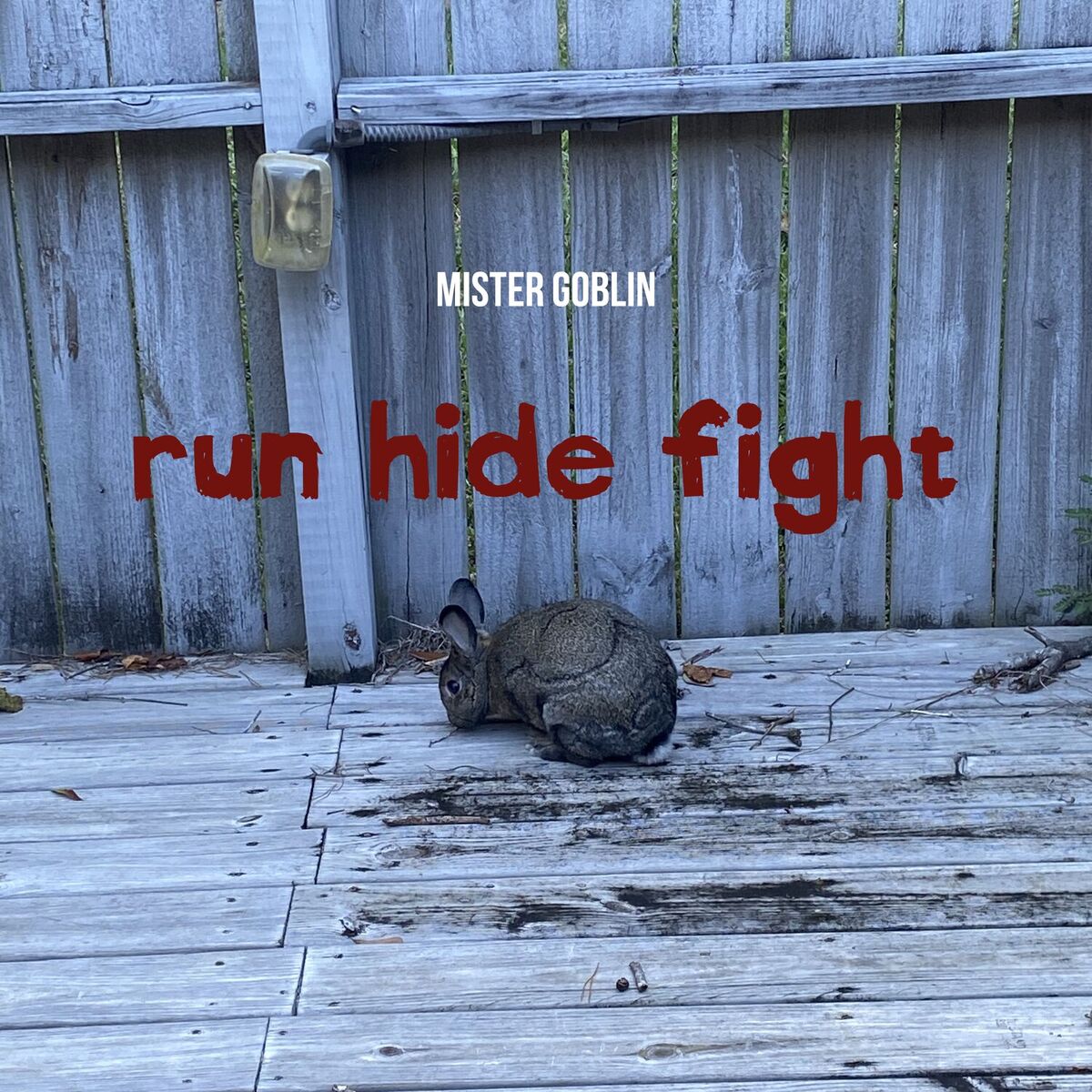 Album cover of Run, Hide, Fight