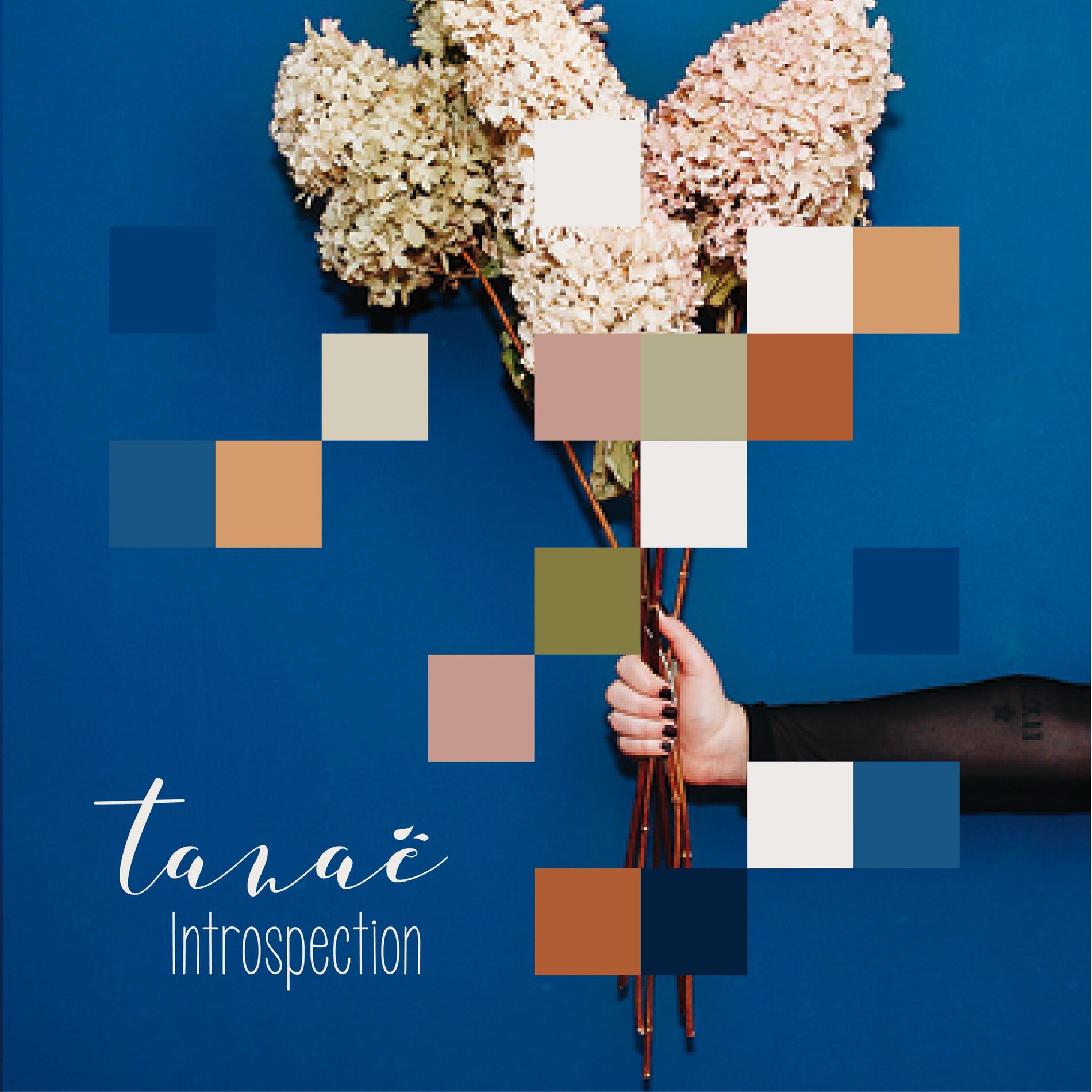 Album cover of Still Beautiful