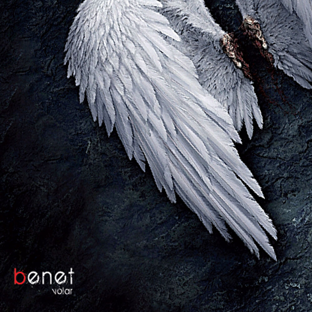Picture of Volar