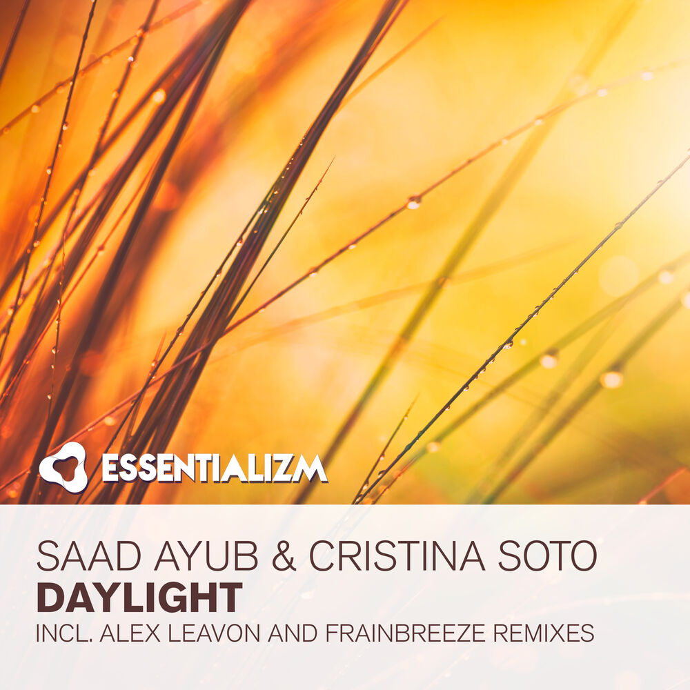 Picture of Daylight (The Remixes)