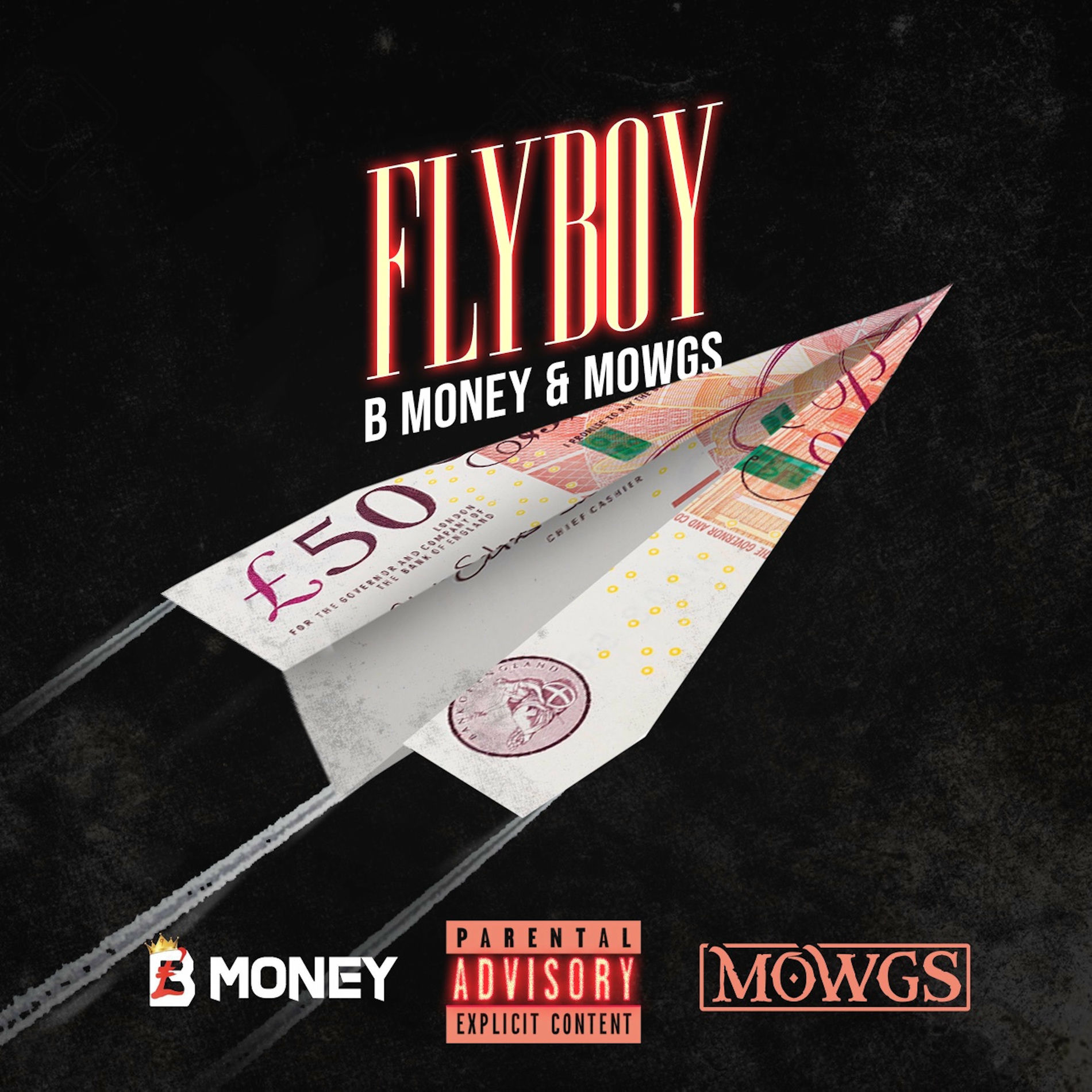Album cover of Fly Boy