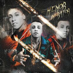 Cover of Menor Infrator