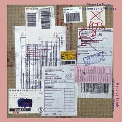 Cover of Holographic Witness