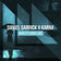 What It Looks Like by Daniel Garrick album cover