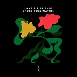 Cover of Cross Pollination