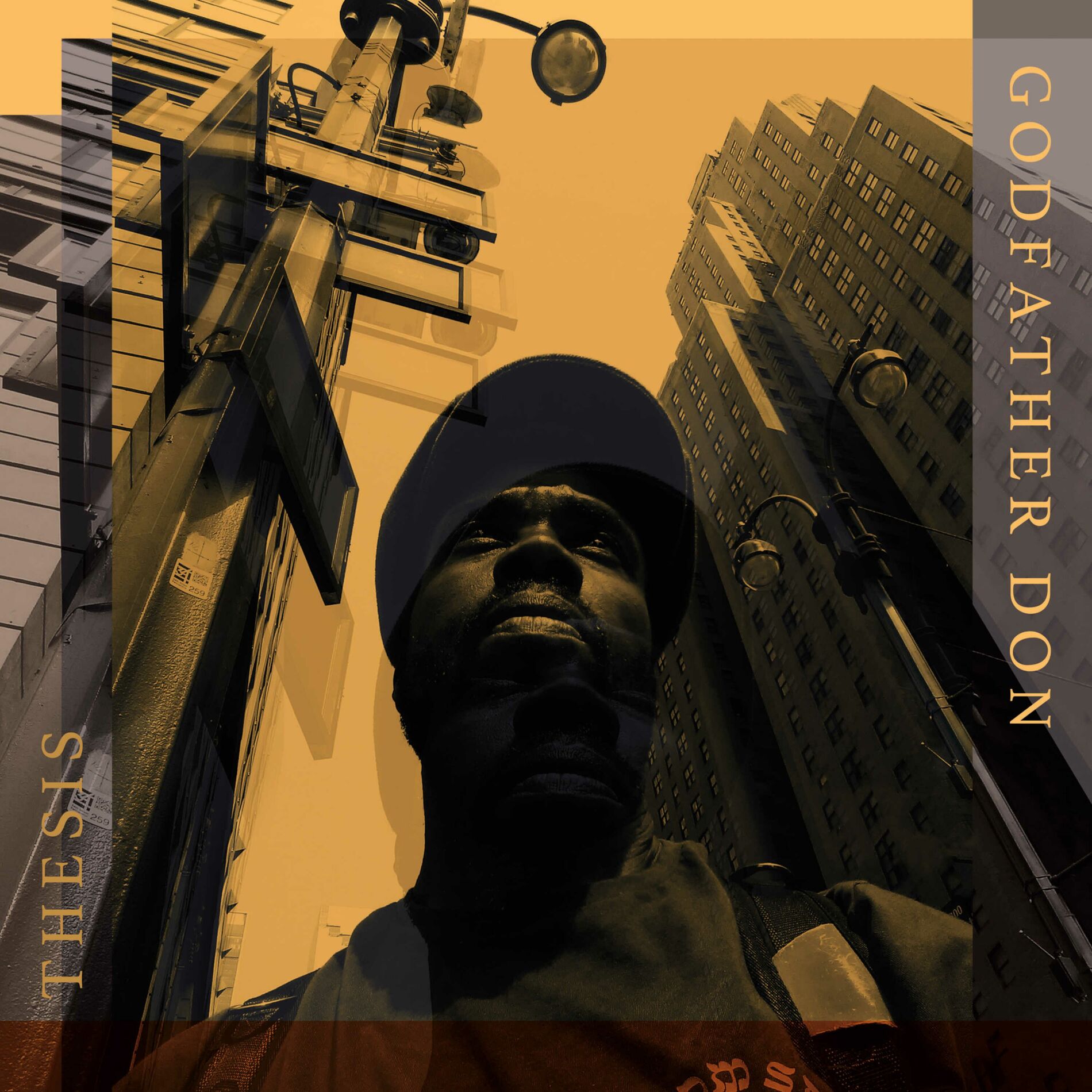 Album cover of Thesis