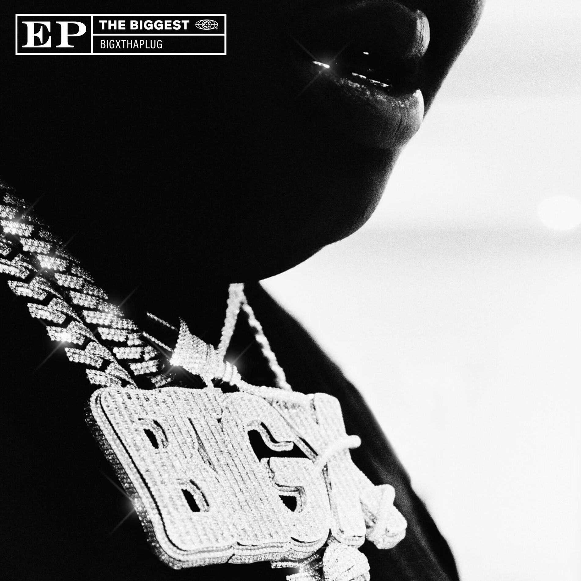Album cover of THE BIGGEST