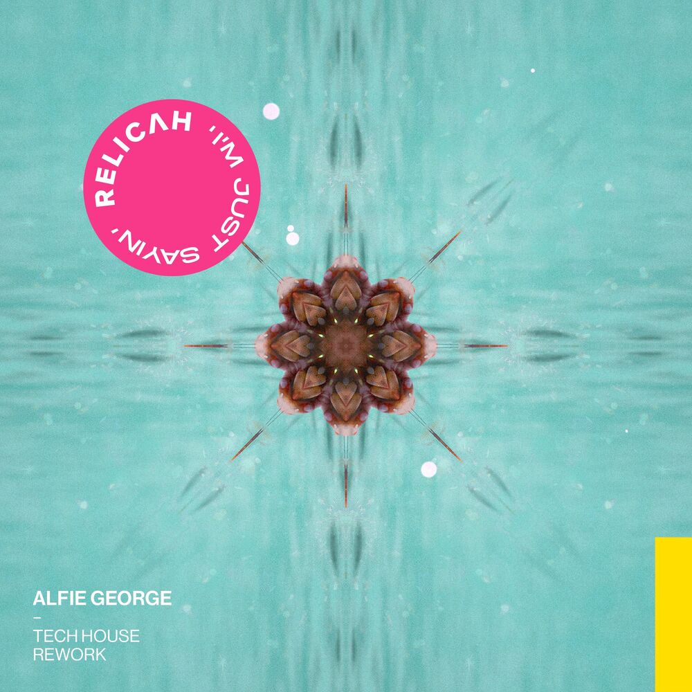 Picture of I'm Just Sayin' (Tech House Rework)