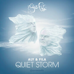 Cover of Quiet Storm