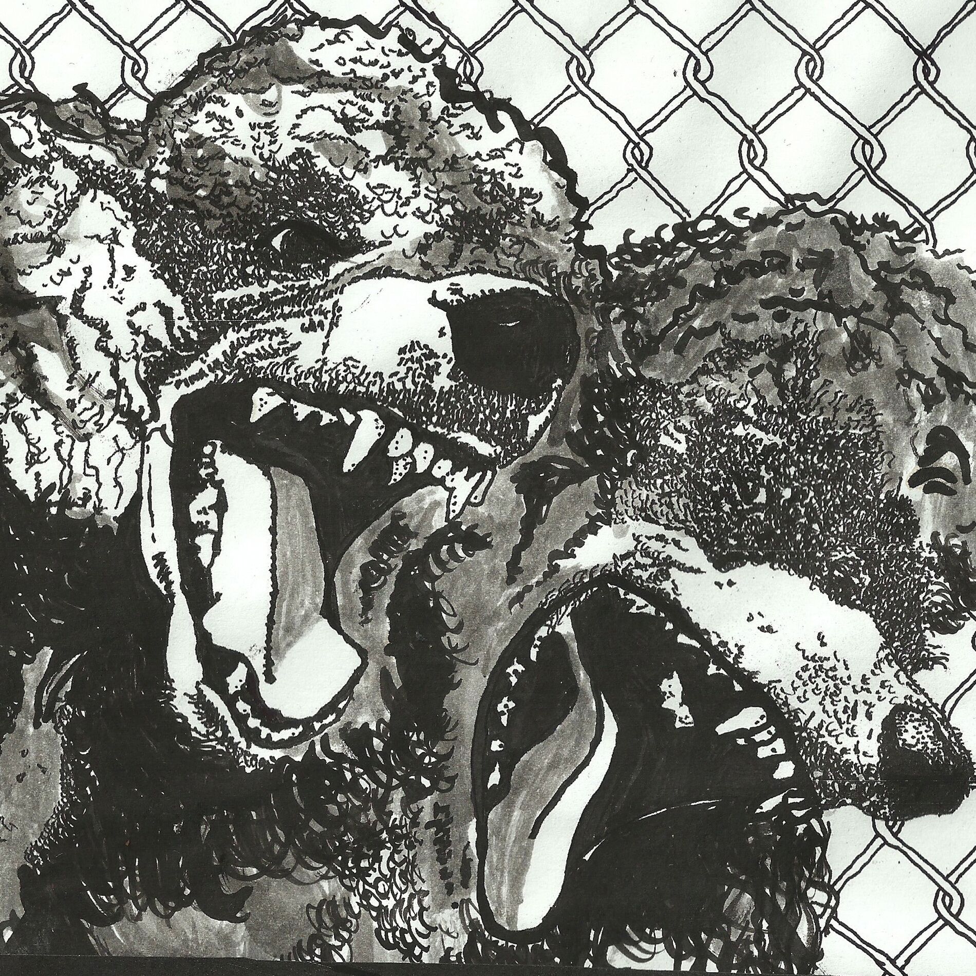 Album cover of Night Bully