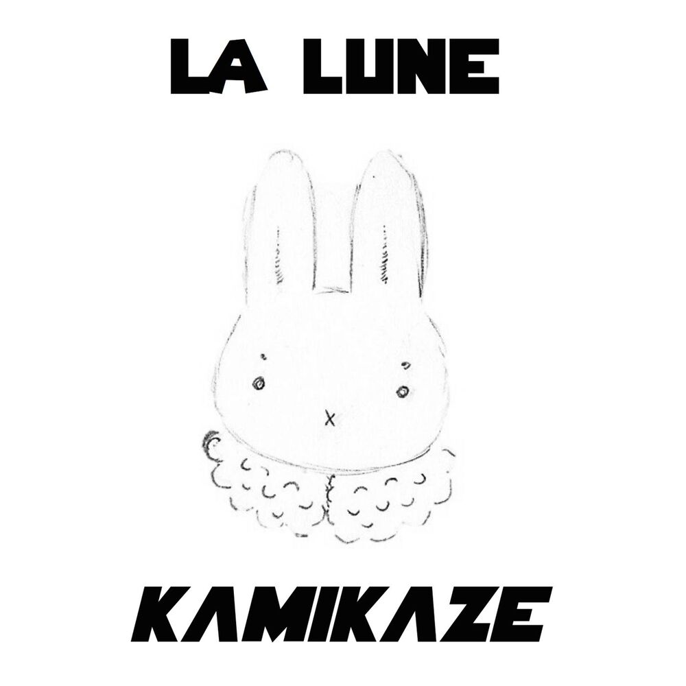 Picture of Kamikaze