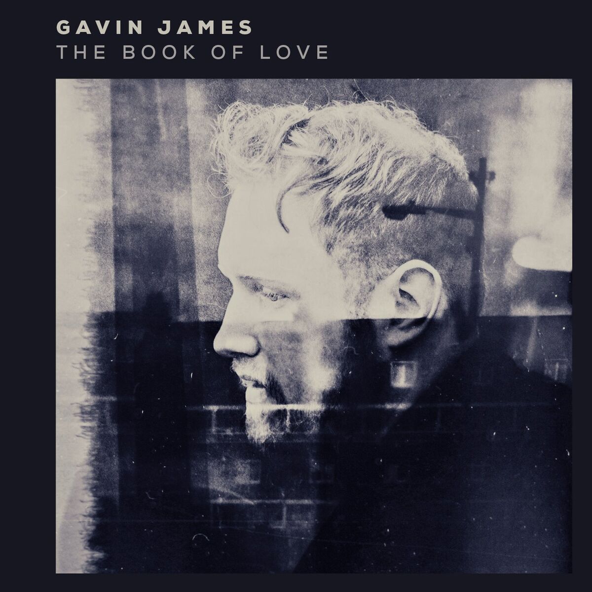 Album cover of The Book Of Love