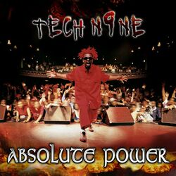 Cover of Absolute Power