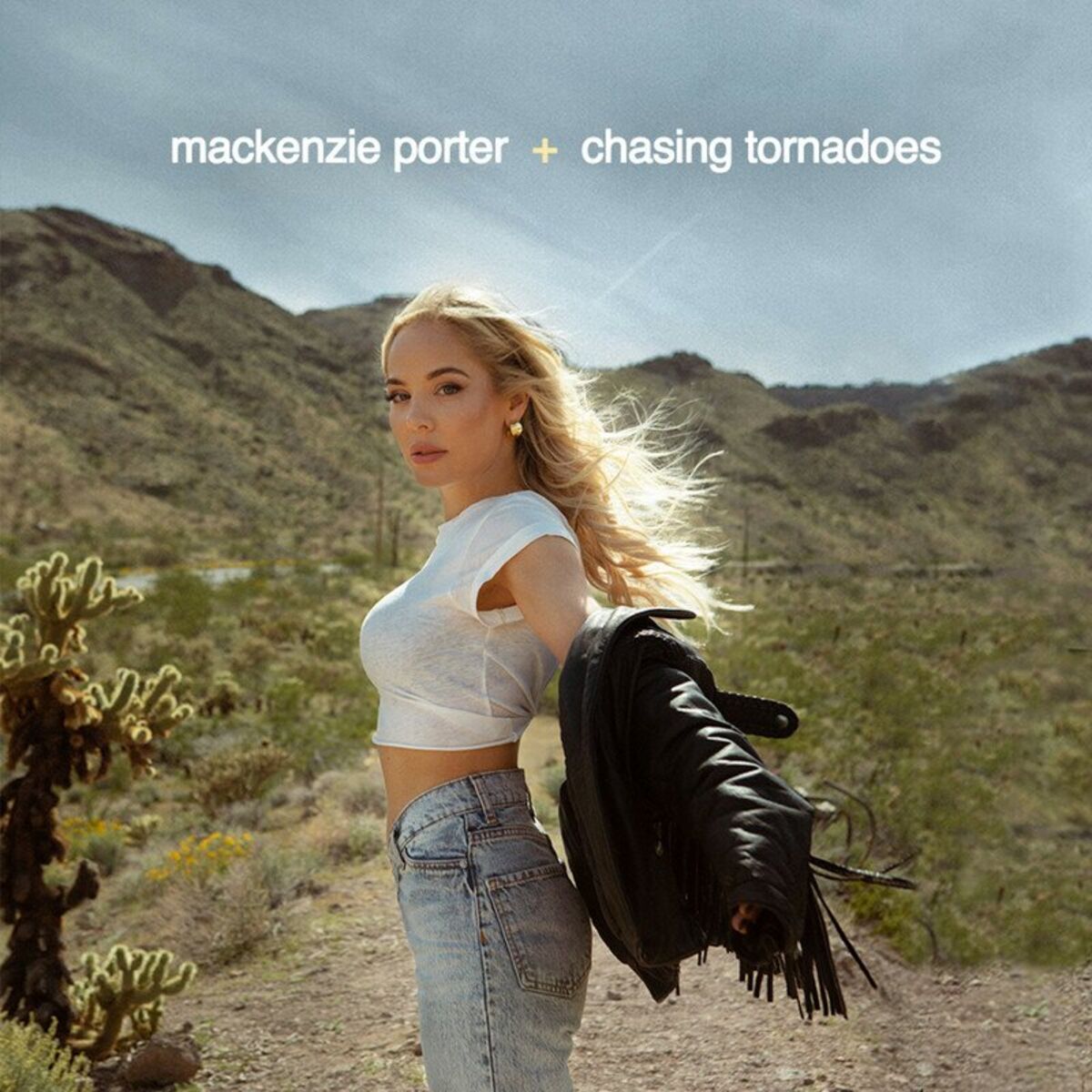 Album cover of Chasing Tornadoes