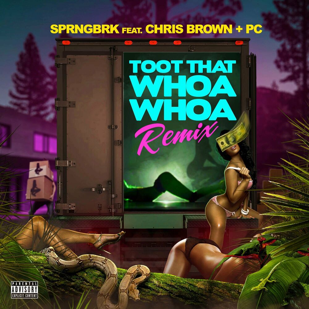 Picture of Toot That Whoa Whoa (feat. Chris Brown & PC)