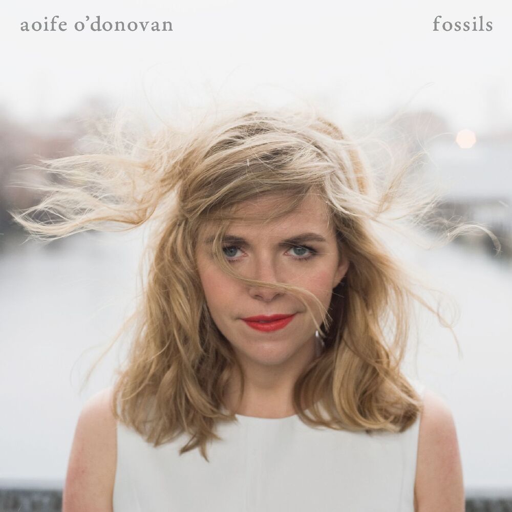 Picture of Fossils