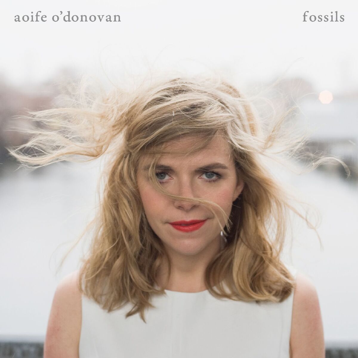 Album cover of Fossils