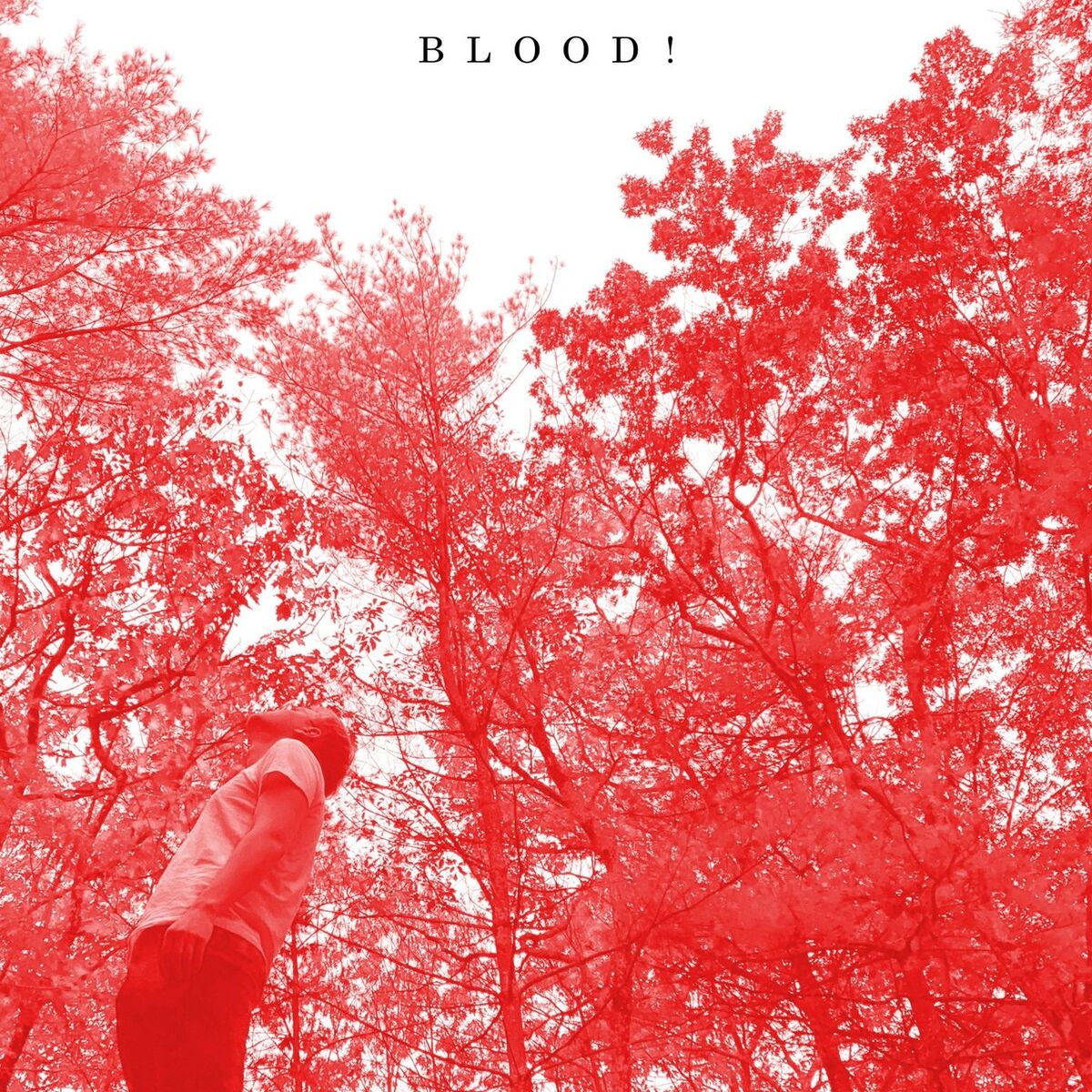 Album cover of Blood!