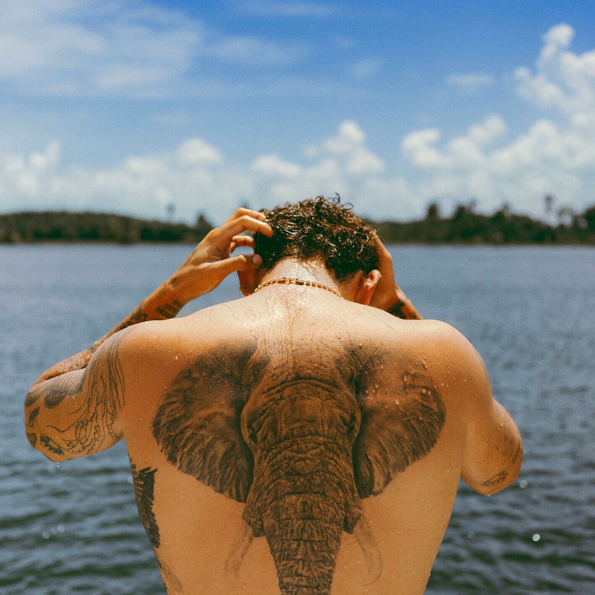 Album picture of frente al mar