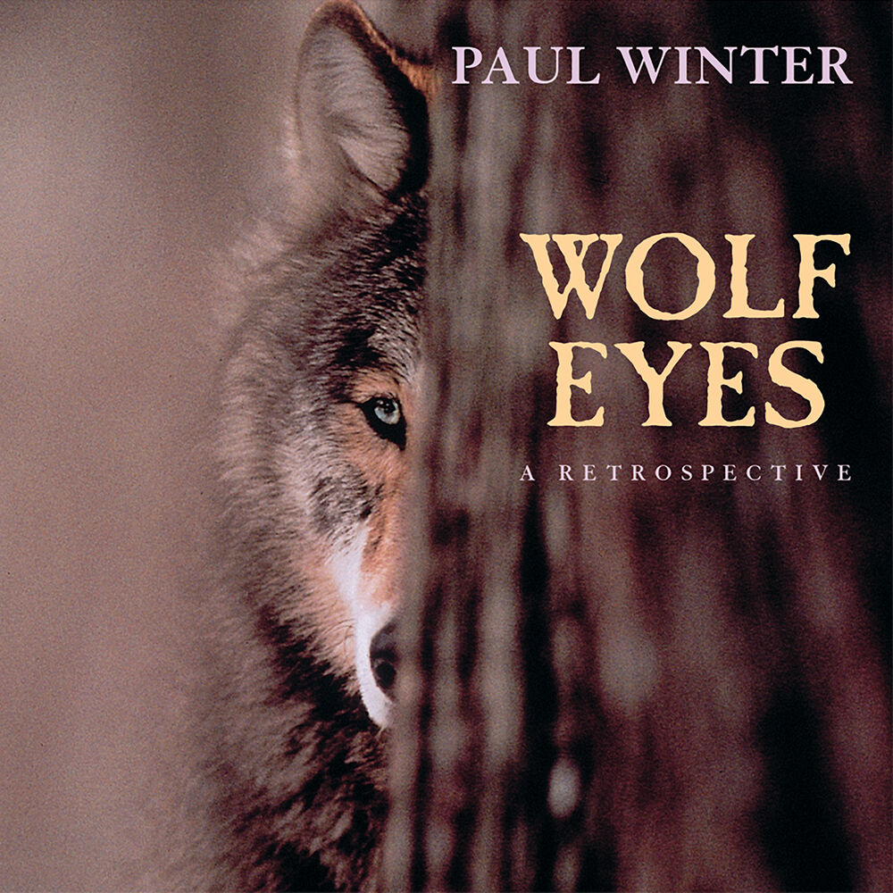 Picture of Wolf Eyes - a Retrospective