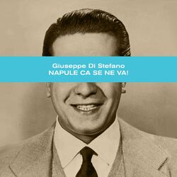 Cover of Napule ca se ne va!