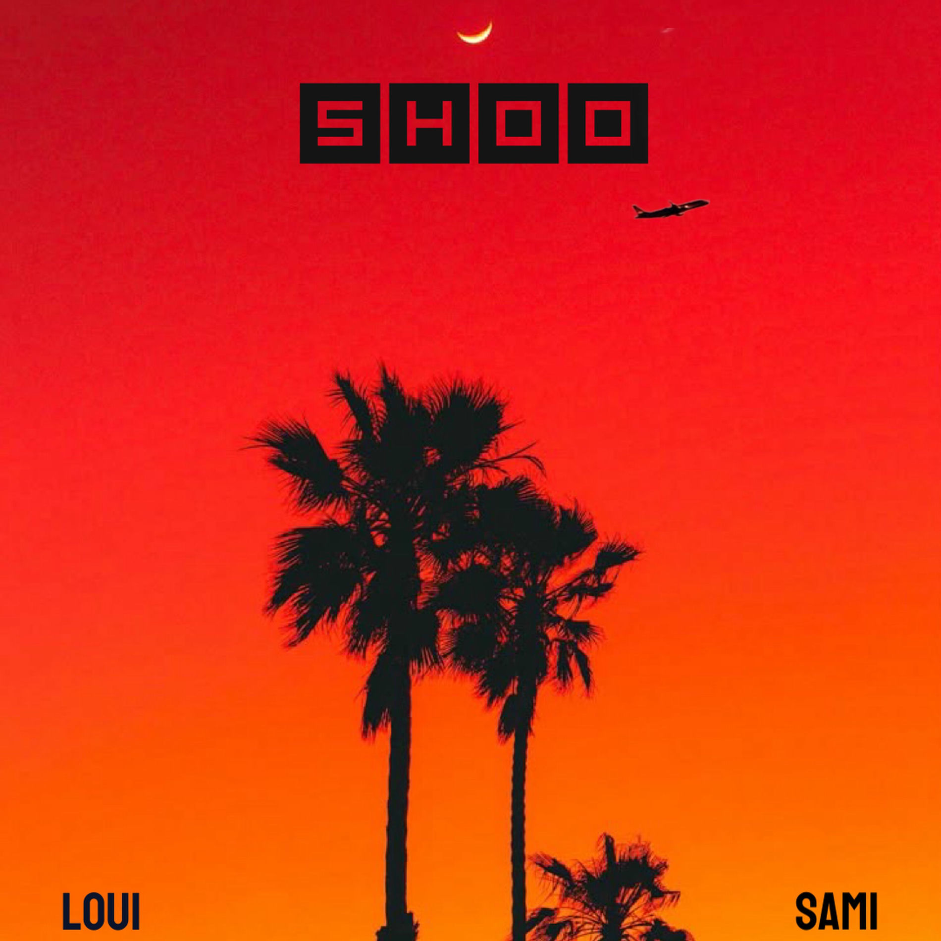 Album cover of Shoo