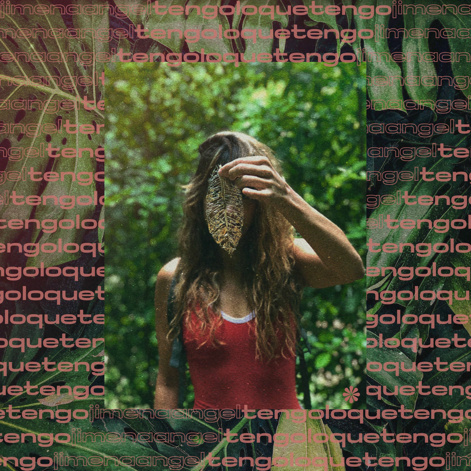 Album cover of Tengo Lo Que Tengo