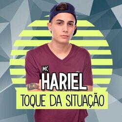 Cover of Toque da Situação