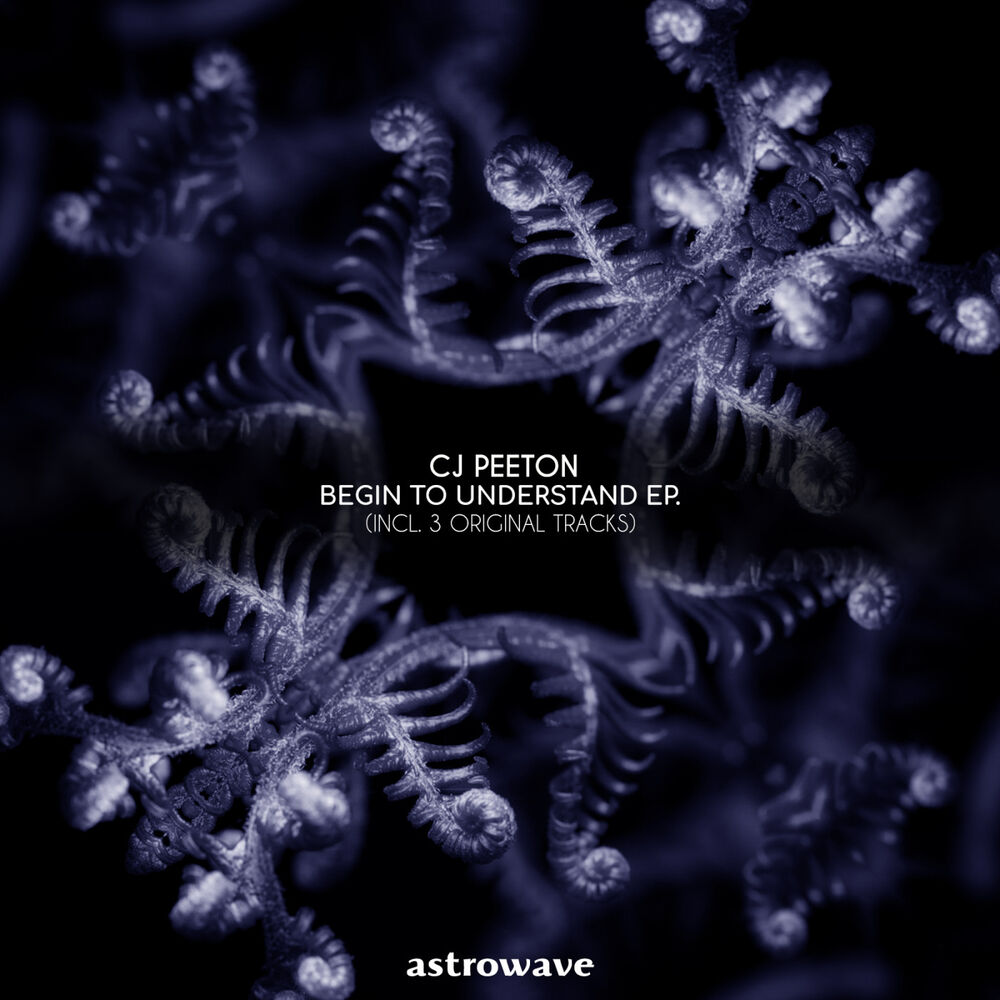 Picture of Begin to Understand