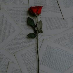 Cover of Waiting For You