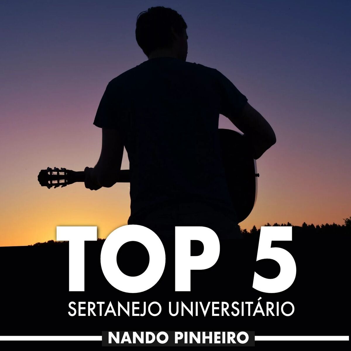 Album cover of Top 5 Sertanejo Universitário