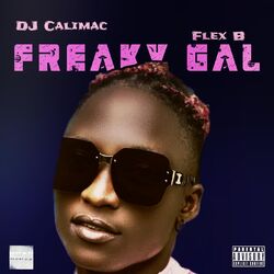 Cover of Freaky Gal