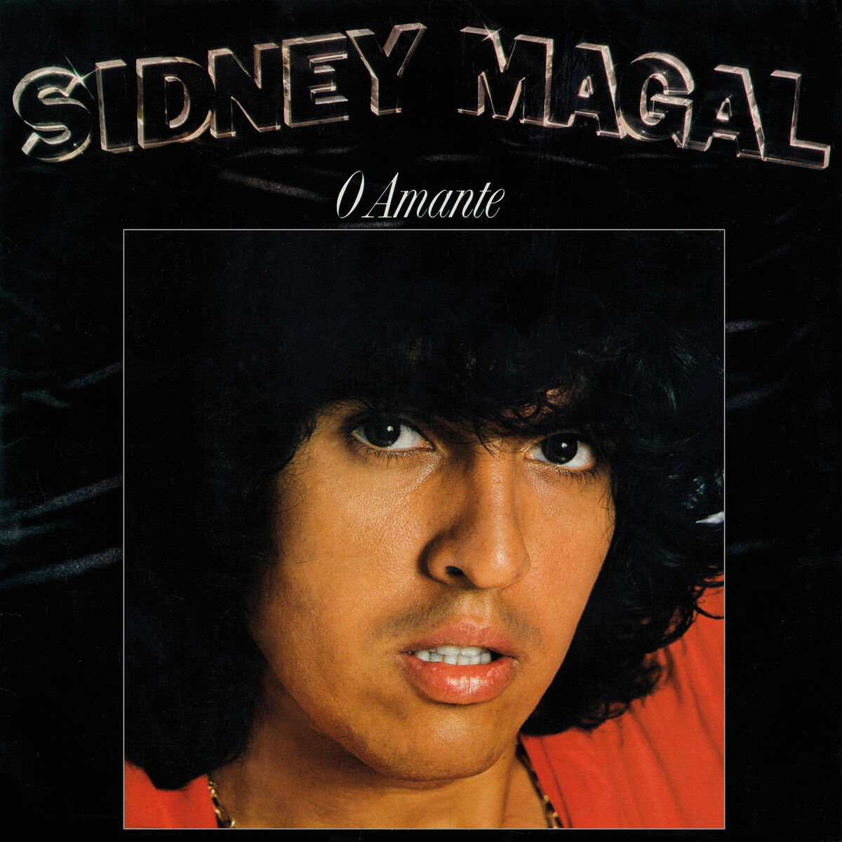 Album cover of Sei Que Vou Sobreviver