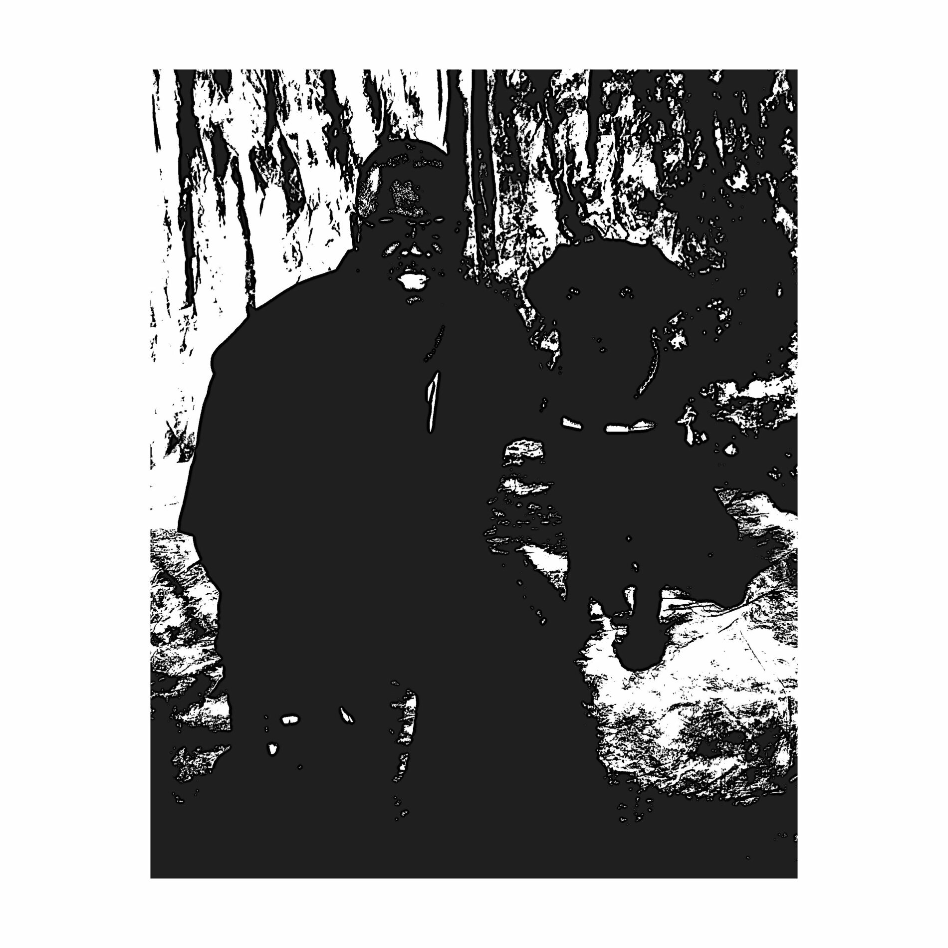 Album cover of Archive & Practice 001