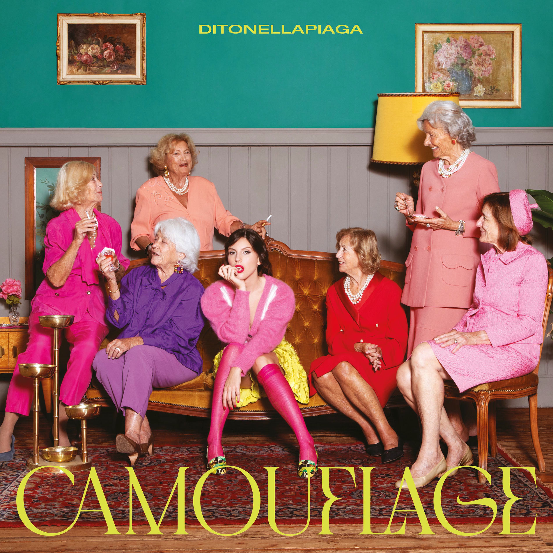 Album cover of Camouflage