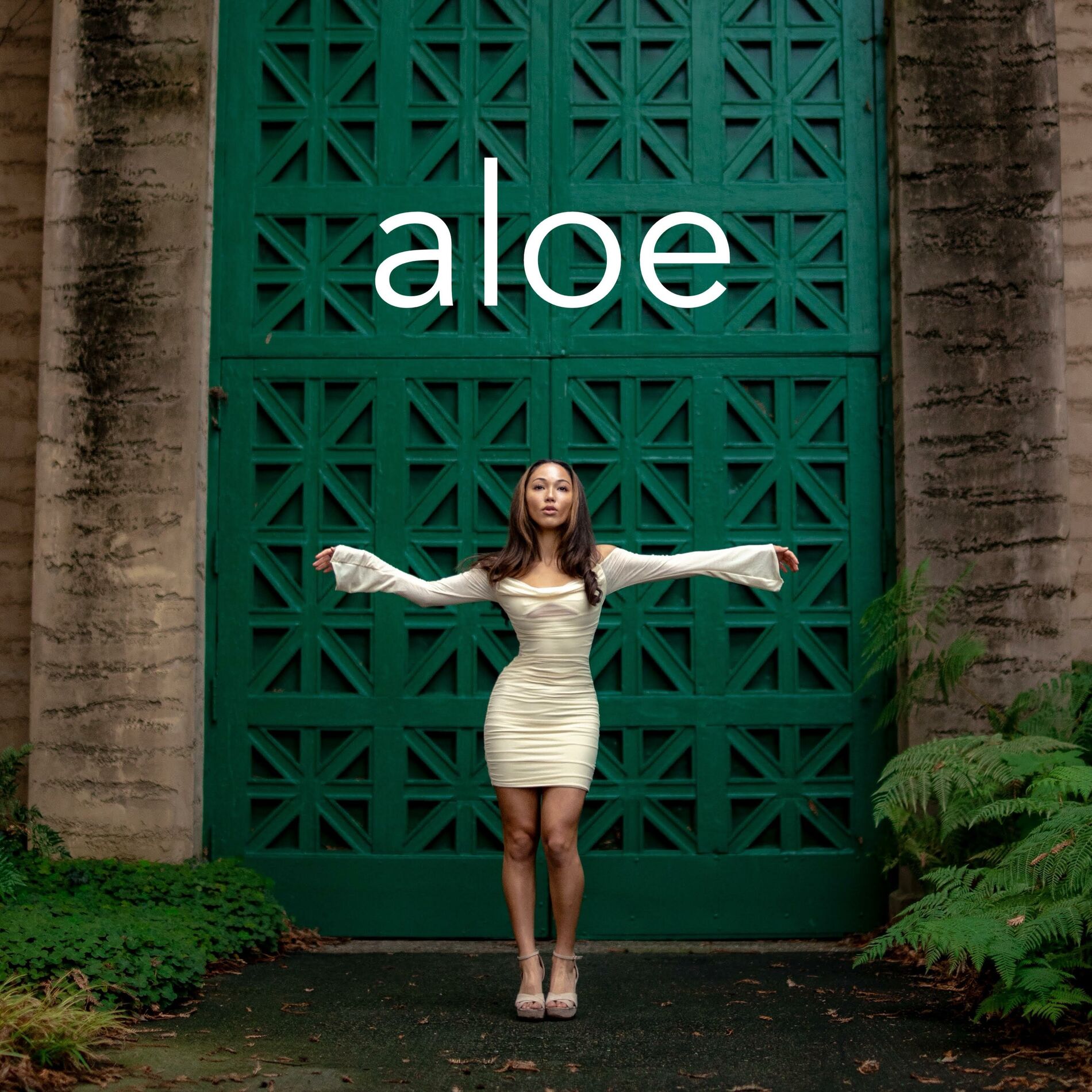 Album cover of aloe