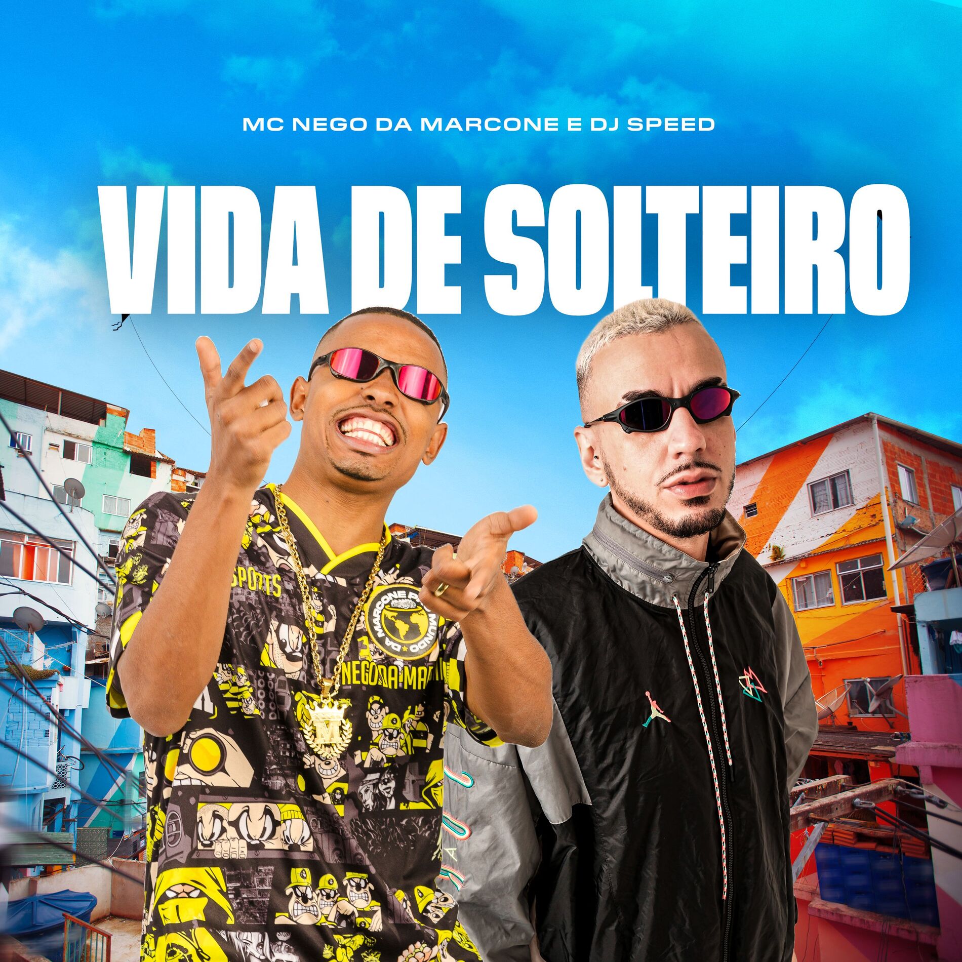Album cover of Vida de Solteiro