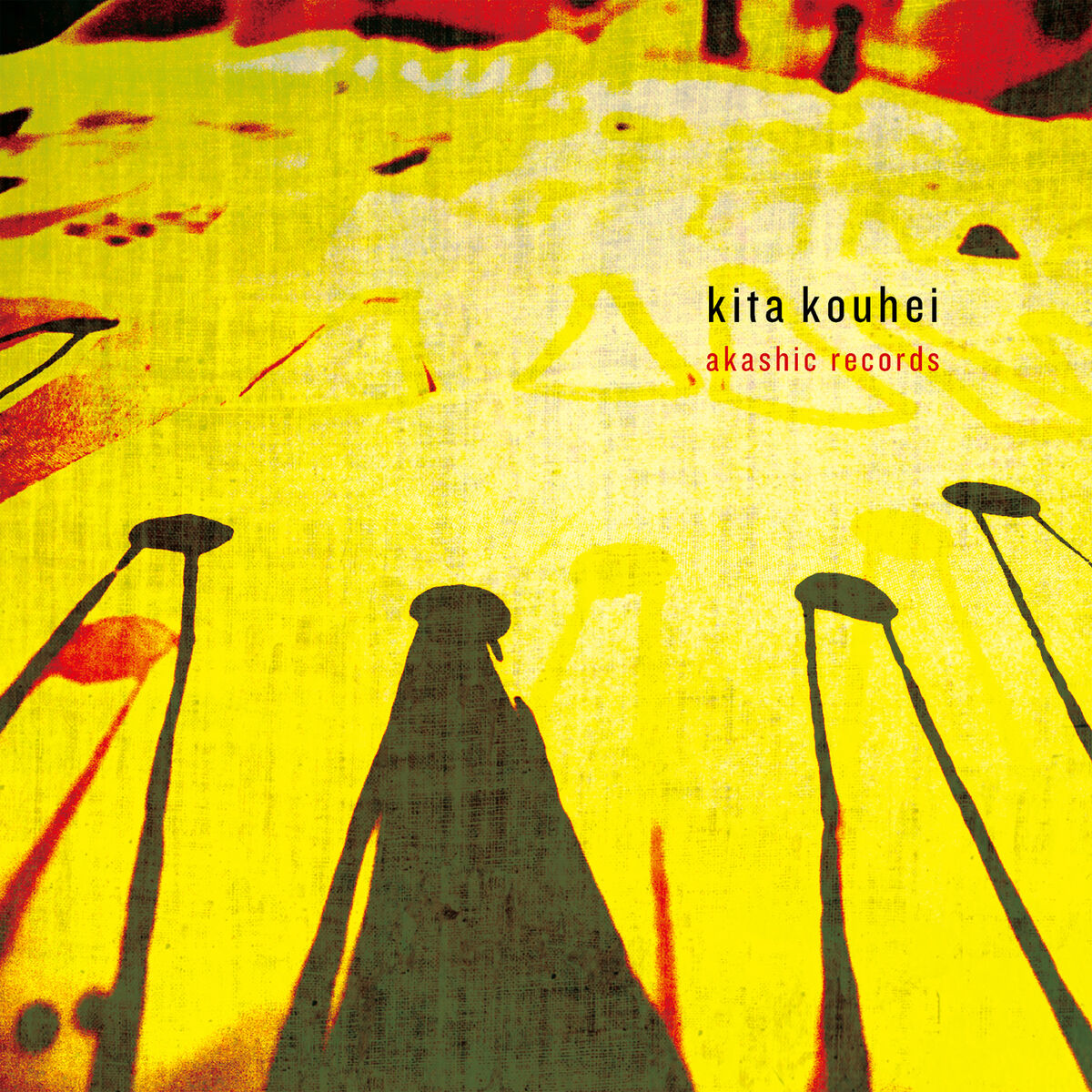 Album cover of Akashic Records