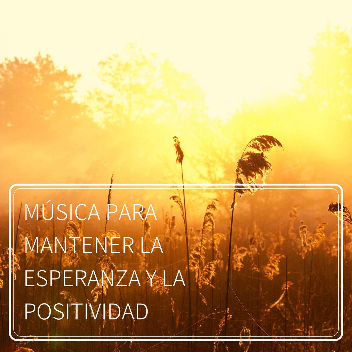 Album cover of Música para Mantener la Esperanza y la Positividad