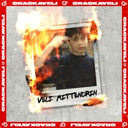 Cover of Veli mittendrin