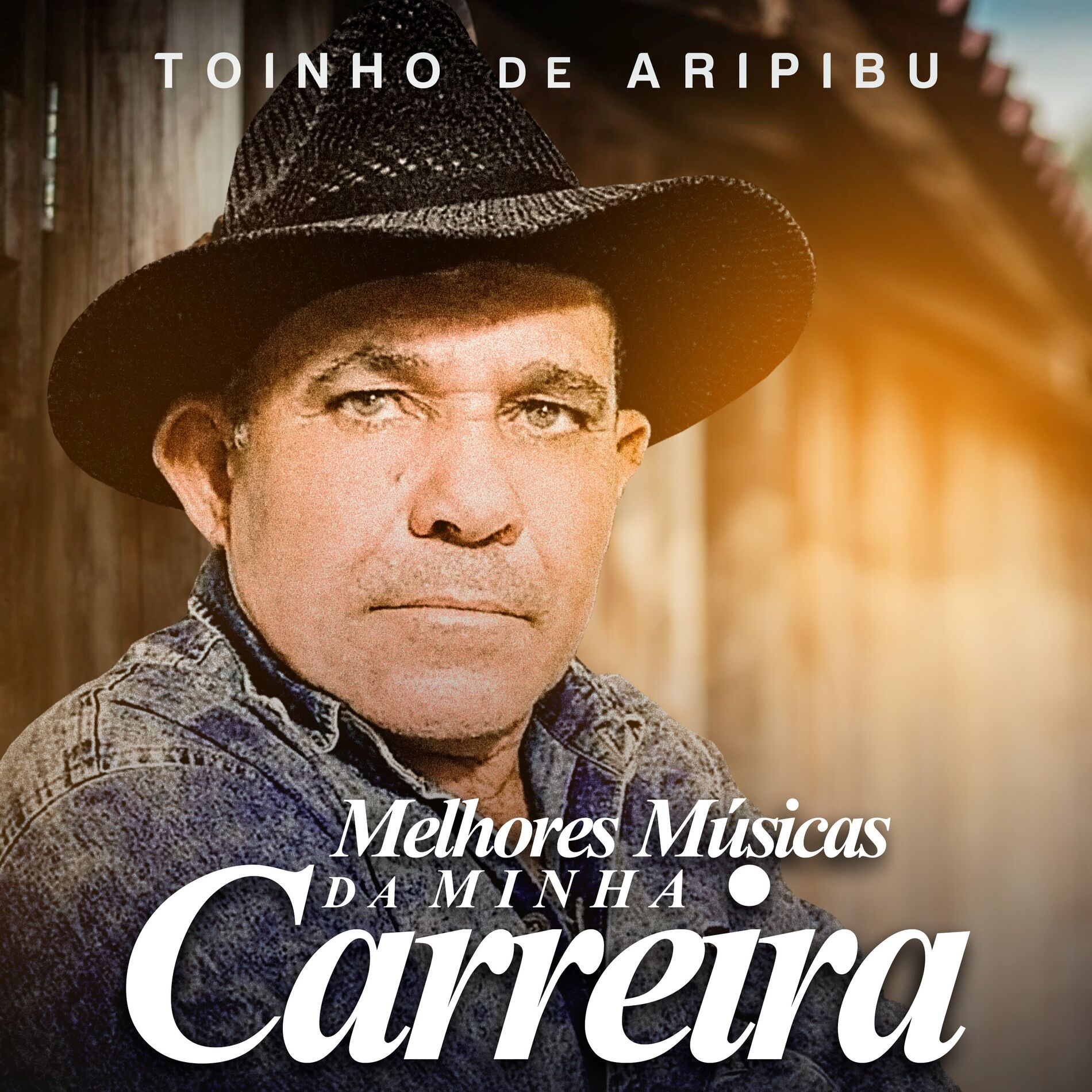 Album cover of Melhores Músicas da Minha Carreira