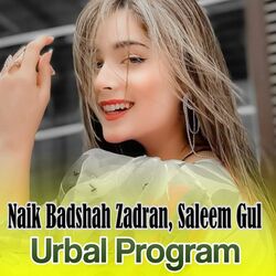 Cover of Urbal Program